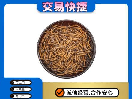 枣庄回收散虫草
